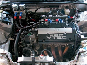 Vtec Ne Demek? Vtec Açmak Ne Demek? 